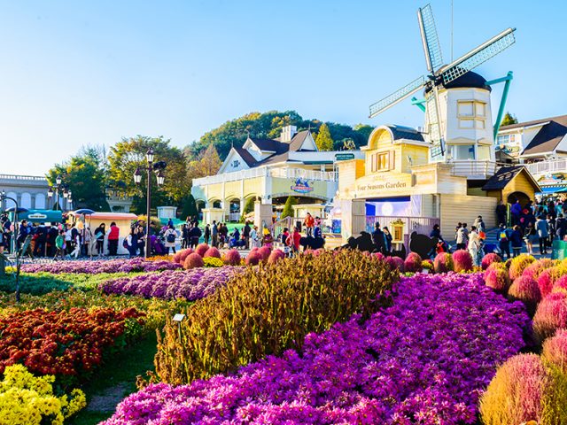 Travel guide for visiting Everland Amusement Park in South Korea